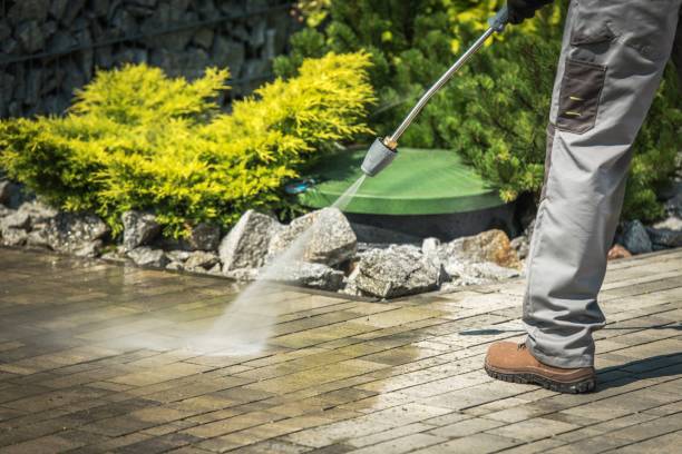 Best Sidewalk and Walkway Cleaning  in Belle, MO