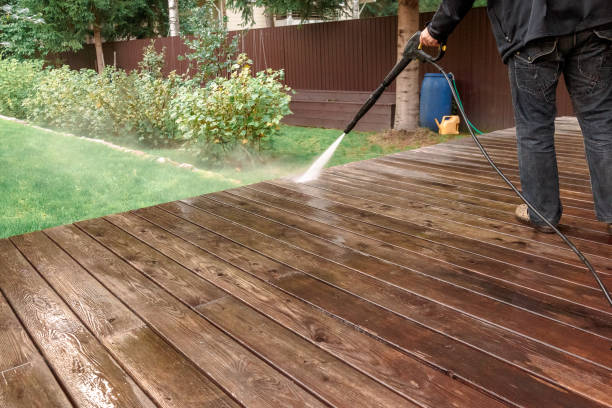 Animal Enclosure Cleaning in Belle, MO