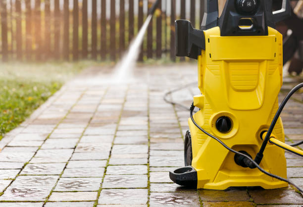 Best Animal Enclosure Cleaning  in Belle, MO